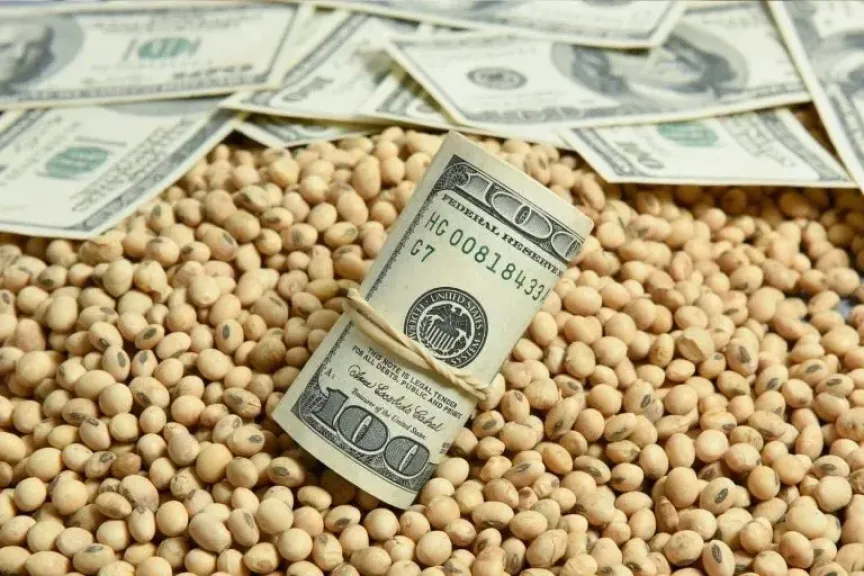 تراجع أسعار فول الصويا مع شراء الصين نصف الكمية الموعودة من الولايات المتحدة