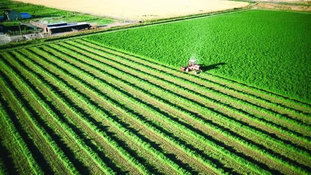 القيم الإيجارية للأراضي الزراعية لا تخضع لرقم ثابت.. تفاصيل