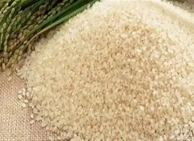 أسعار الأرز الشعير اليوم الأربعاء 24 - 12- 2025 .. بكام الطن