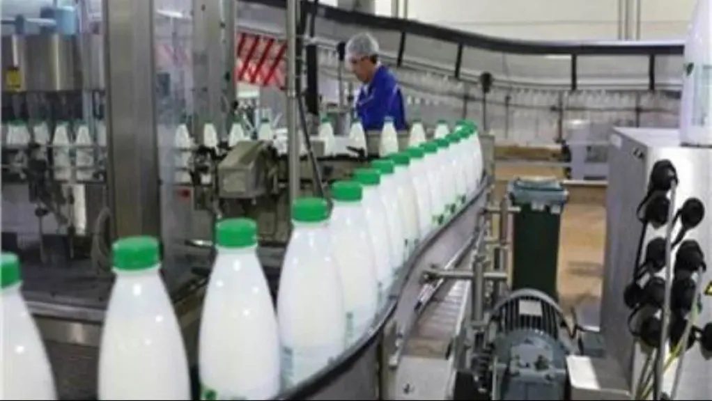 خبراء يحذرون من انهيار مراكز تجميع الألبان