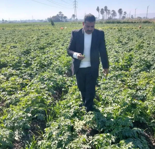 حملات مكثفة في سوهاج لحماية المحاصيل الزراعية من الأمراض