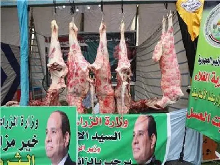 هل ترتفع أسعار اللحوم خلال رمضان 2026؟ الزراعة توضح