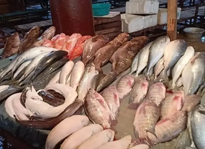 استقرار أسعار الأسماك في سوق العبور رغم ارتفاع الطلب