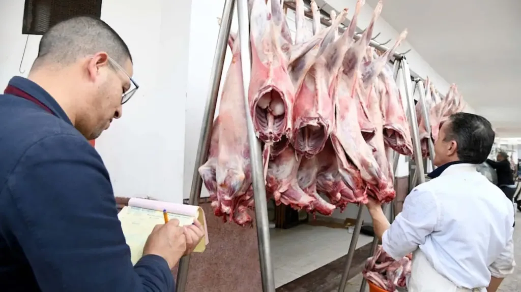 الزراعة تخصص الخط الساخن 19561 لمراقبة أسواق اللحوم