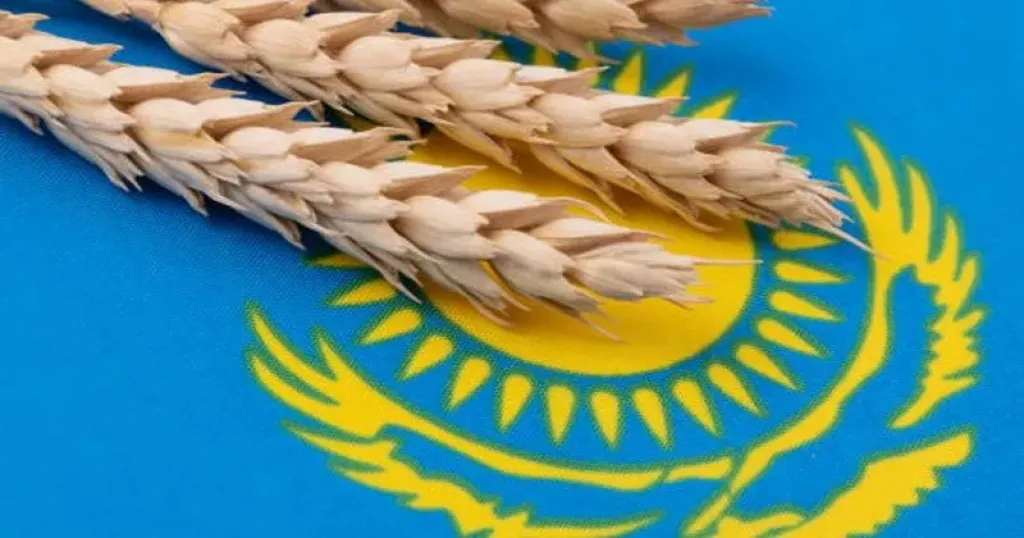 موسم كازاخستان القياسي يعيد رسم خريطة الحبوب عالميا