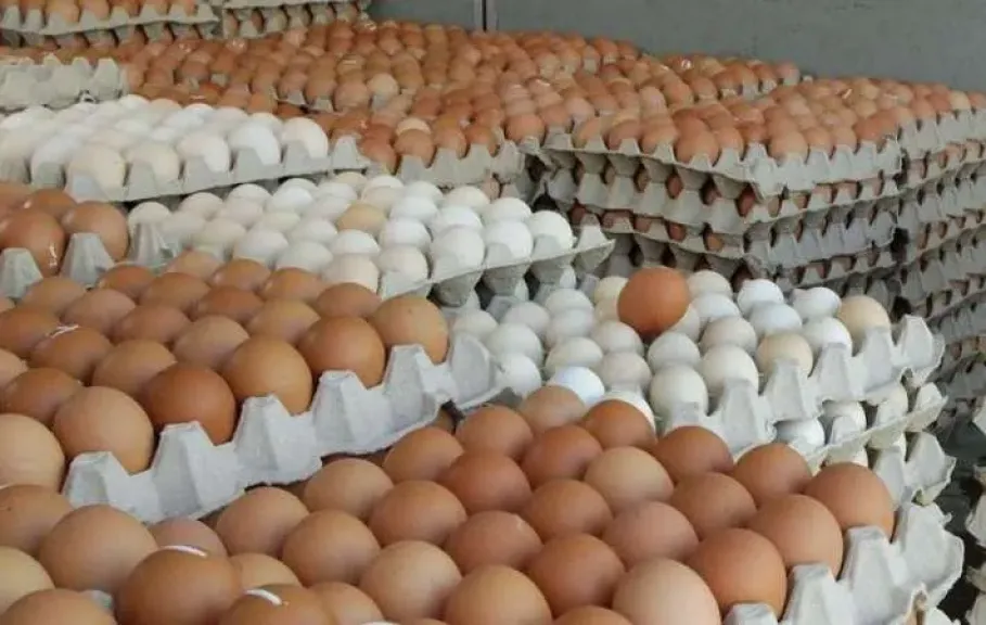 الزراعة تعلن تحقيق الاكتفاء الذاتي الكامل من البيض والألبان