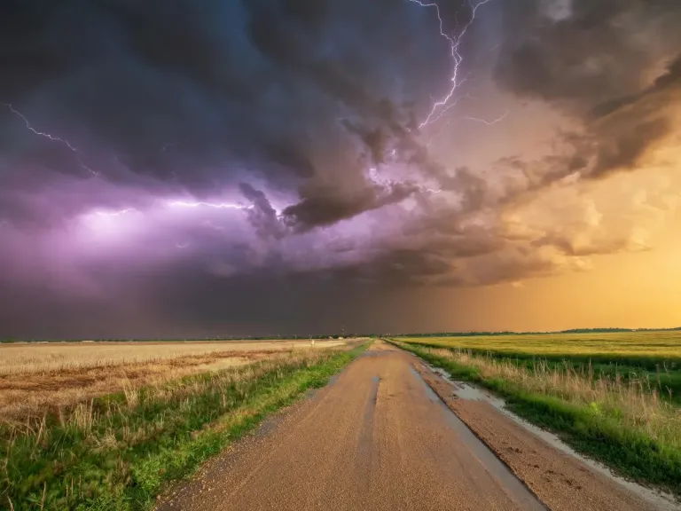 الطقس في البرازيل والأرجنتين يقود أسعار الحبوب في الأسواق العالمية