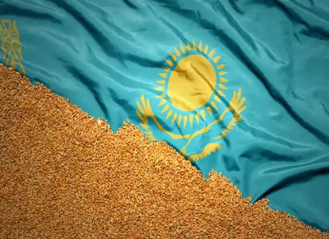 صادرات الحبوب الكازاخستانية تسجل أعلى مستوى في عشر سنوات