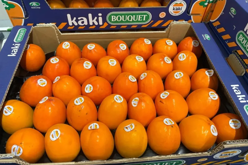 موسم إسبانيا الزراعي يواجه نقص الليمون والكاكي