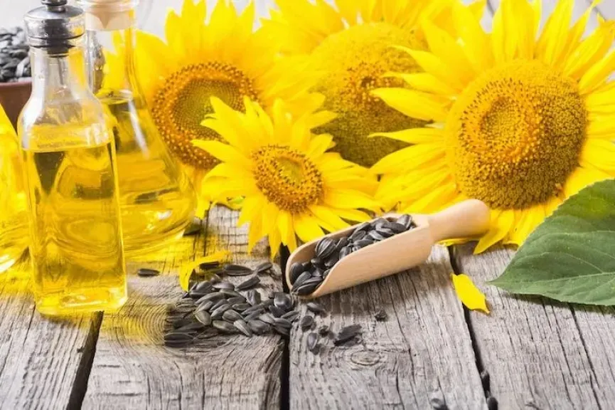 رغم استمرار تراجعها.. ارتفاع أسعار بذور عباد الشمس في أوكرانيا