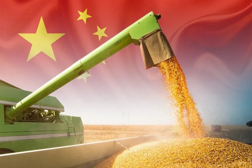 استقرار انتاج الحبوب في الصين أولوية حكومية بعد مؤتمر العمل الريفي