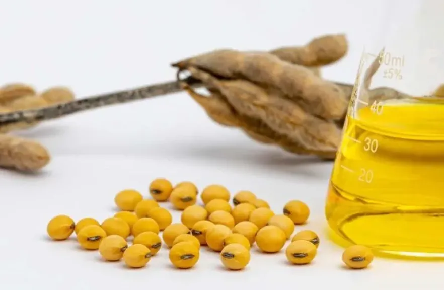 قوانين الوقود الحيوي تعيد رسم خريطة زيت الصويا بأمريكا الجنوبية