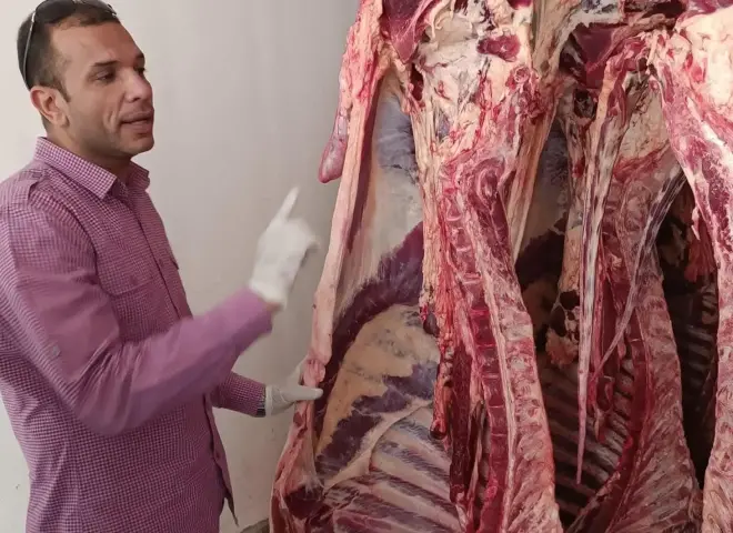 بيطري سوهاج يكشف بدائل اللحوم البلدية