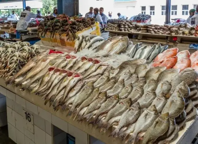 ارتفاع أسعار الأسماك يعيد طرح ملف الرقابة والتصدير