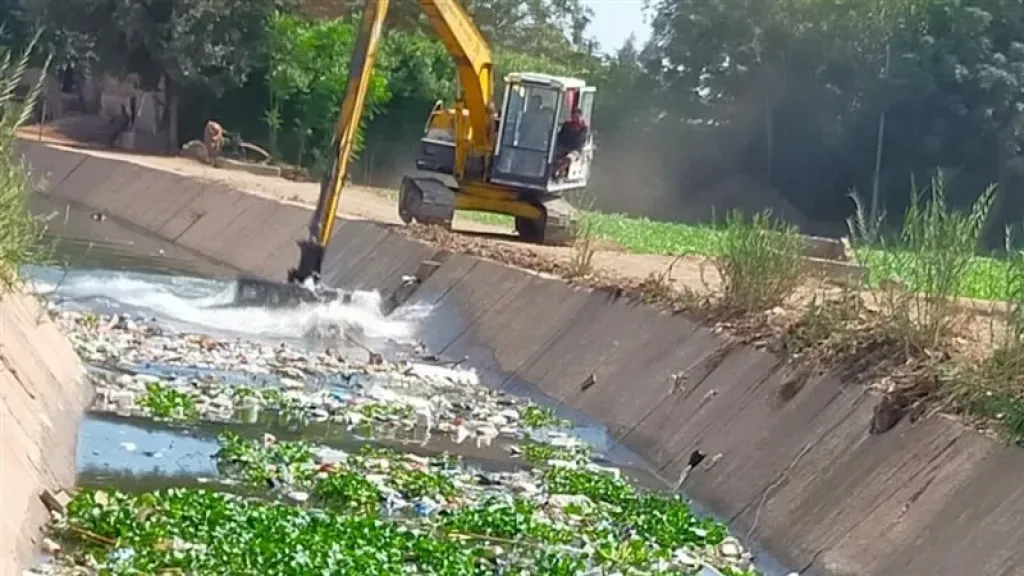 زراعة المنوفية تعلن إصدار 1073 ترخيصًا لمشروعات زراعية خلال 2025