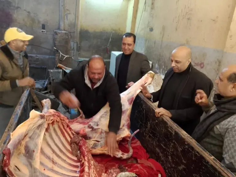 ضبط لحوم فاسدة داخل سلخانة سرية بالمنوفية