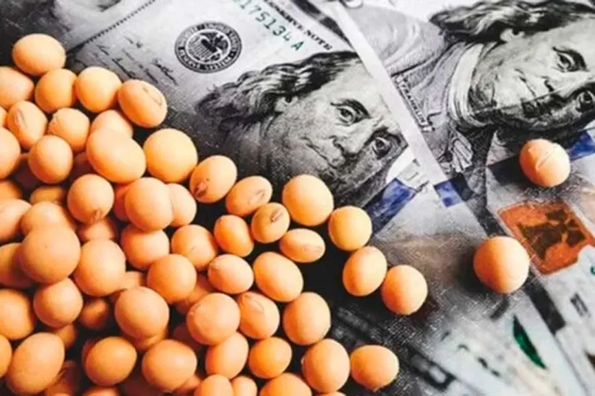 تراجع أسعار فول الصويا عالميا تحت ضغط أساسيات المعروض والطلب