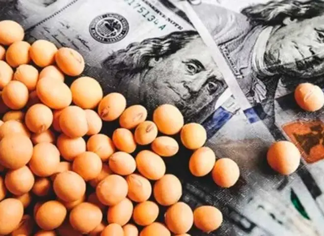 تراجع أسعار فول الصويا عالميا تحت ضغط أساسيات المعروض والطلب