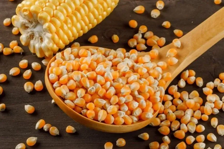 إندونيسيا توقف استيراد الذرة والأرز والسكر في 2026