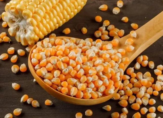 إندونيسيا توقف استيراد الذرة والأرز والسكر في 2026