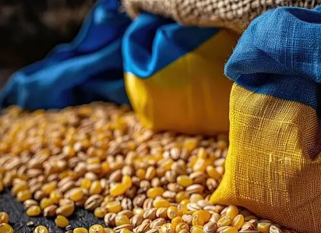 تعرف على أسباب تراجع صادرات أوكرانيا من الحبوب