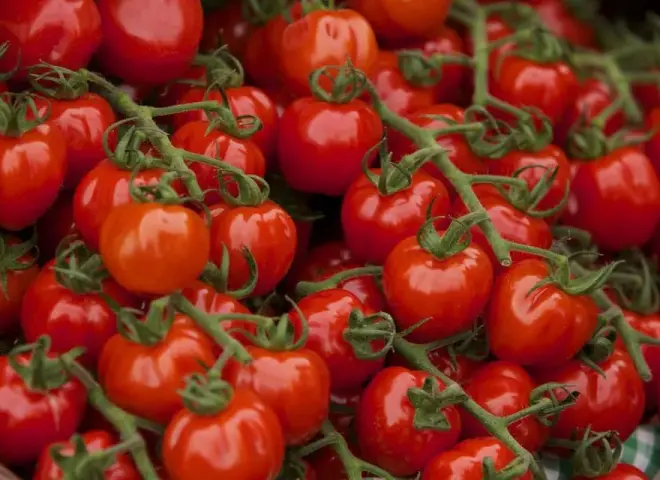 قبل رمضان.. سيناريوهات جديدة لأسعار الطماطم في الأسواق