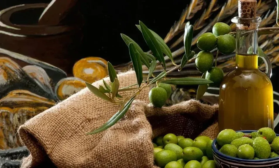قطاع زيت الزيتون الأوروبي يتجه للتعافي رغم ضغوط المناخ والسوق