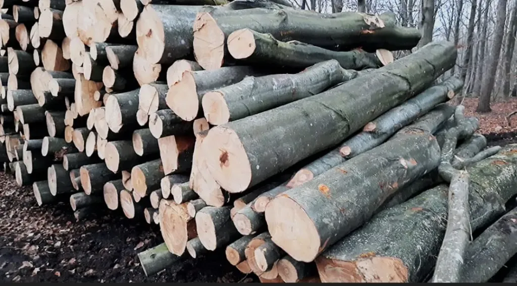 مشروع ”لب الورق”خطوة واعدة نحو التنمية المستدامة والصناعات الخضراء