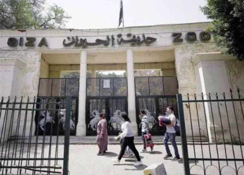 تغيير اسم حديقة الحيوان رسميًا إلى «جنينة الحيوانات»