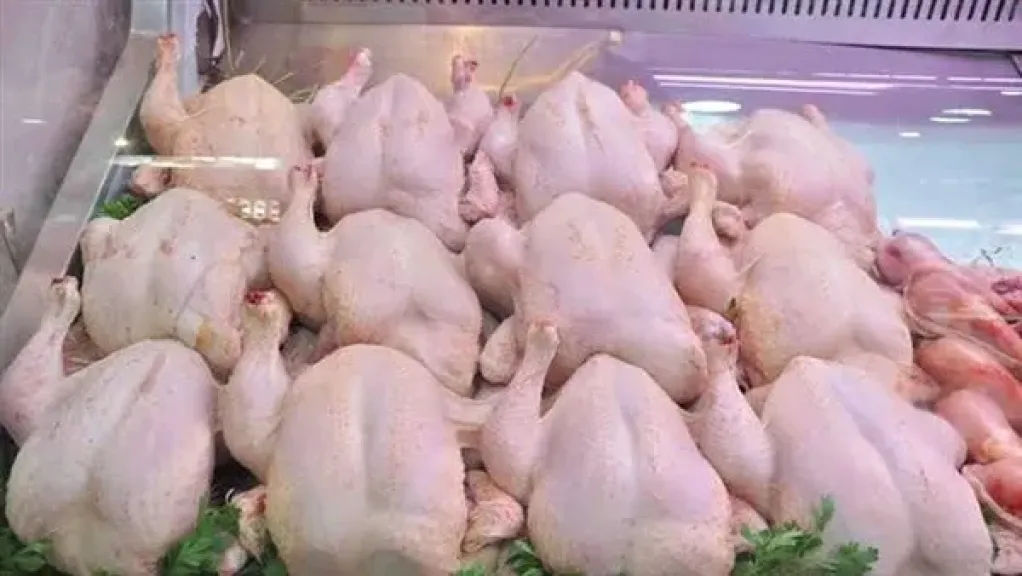 استيراد الدواجن يشعل الجدل بين الحكومة والمنتجين