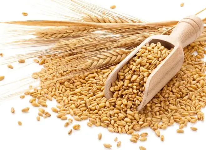 واردات القمح في نيجيريا تستنزف ملياري دولار سنويا