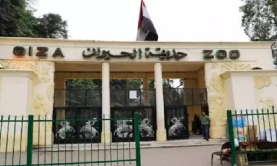 جنينة الحيوان تعود للبريق: خطة التطوير الشاملة