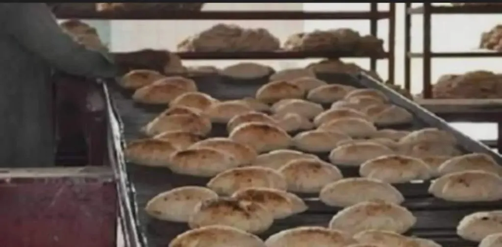 شعبة مخابز الدقهلية توضح حقيقة تعديل مواعيد التشغيل