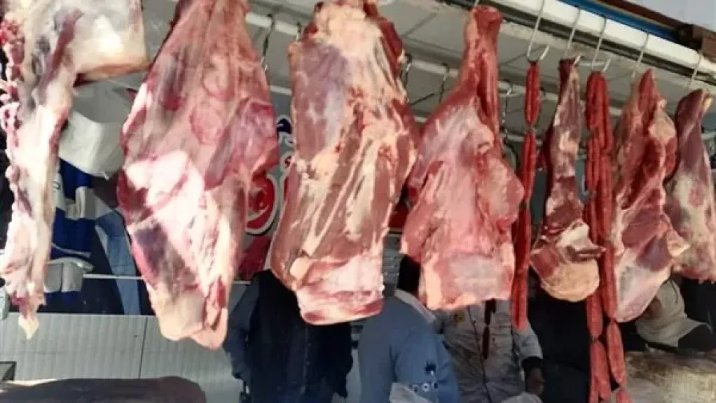 بيطري الشرقية يضبط أكثر من 14 طن لحوم ودواجن فاسدة