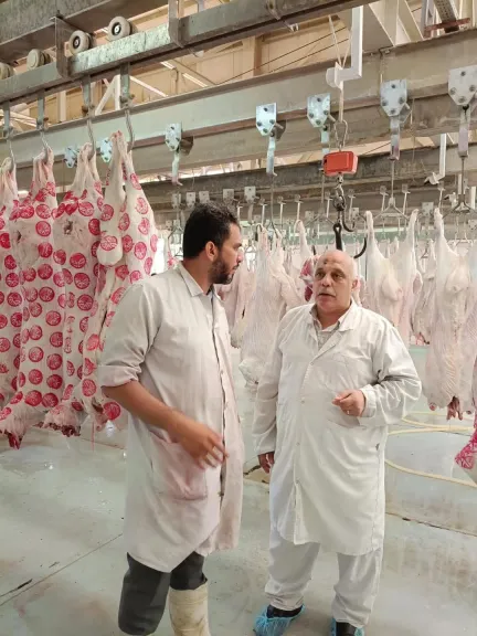 ”الزراعة”: المجازر الحكومية استقبلت 705 ألف رأس ماشية خلال النصف الثاني من 2025