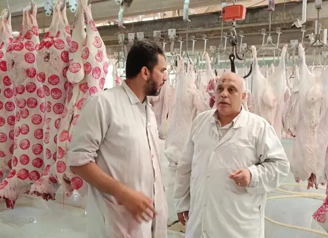 ”الزراعة”: المجازر الحكومية استقبلت 705 ألف رأس ماشية خلال النصف الثاني من 2025