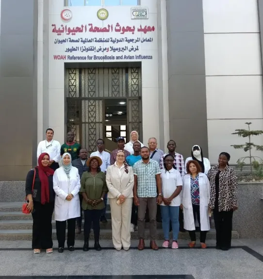 البحوث الحيوانية 2025: طفرة في الفحص والاعتماد الدولي والابتكار العلمي