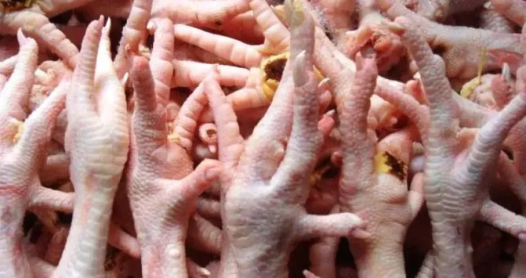 أرجل الدجاج تخرج من دائرة المخلفات إلى عالم الغذاء والدواء