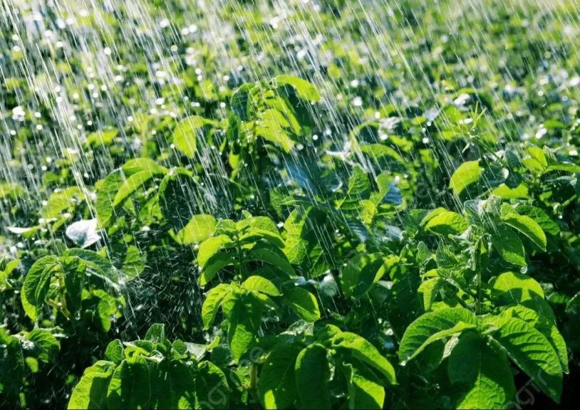 تحذيرات رسمية للمزارعين: احترسوا من الطقس المتقلب