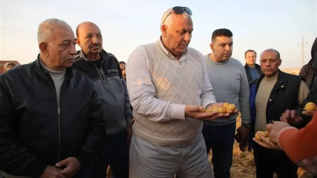 محافظ الوادي الجديد يتابع الحصاد الآلي للبطاطس على مساحة 7275 فدانًا