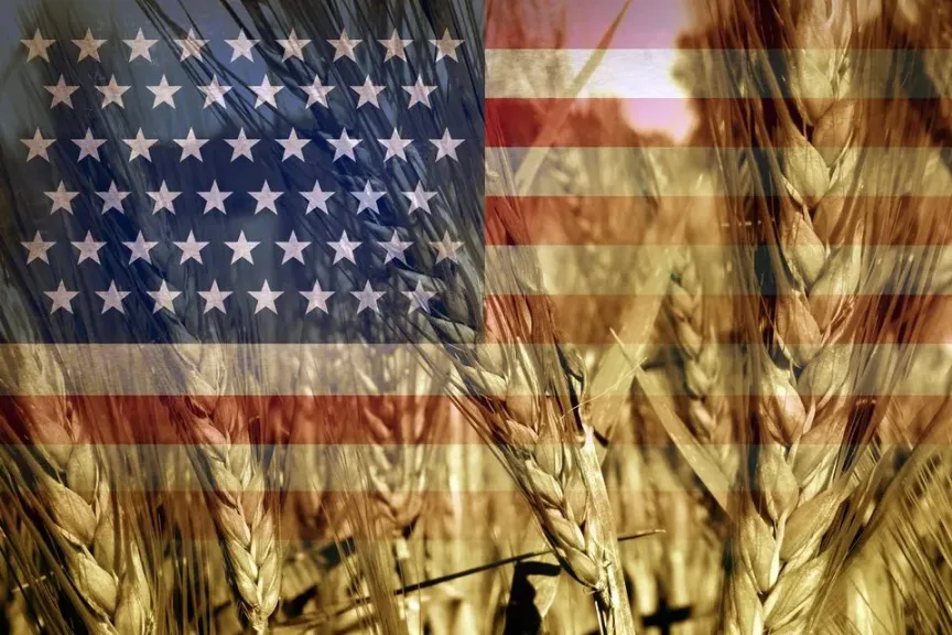 تفاقم أزمة القطاع الزراعي الأمريكي مع عجز أسعار الحبوب عن تغطية التكاليف