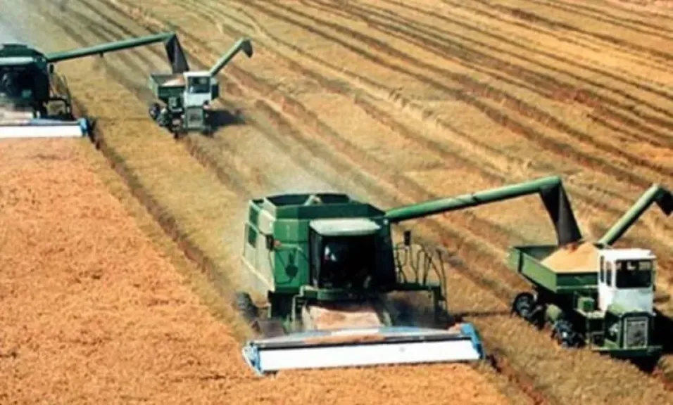 2500 جنيه.. تفاصيل رسوم فحص تقنين الأراضي الزراعية والمباني