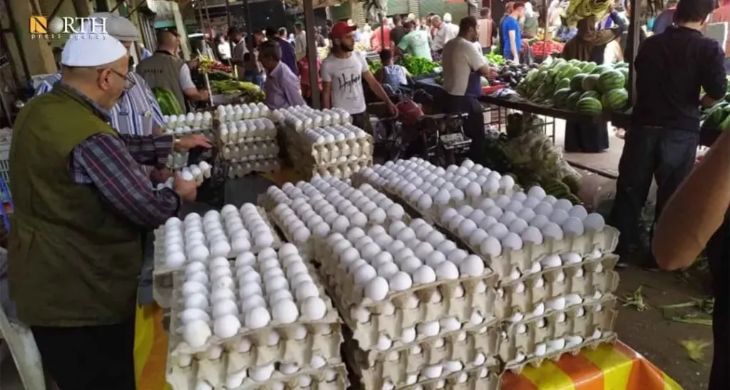 انخفاض أسعار كرتونة البيض في الأسواق.. اعرف الأسباب