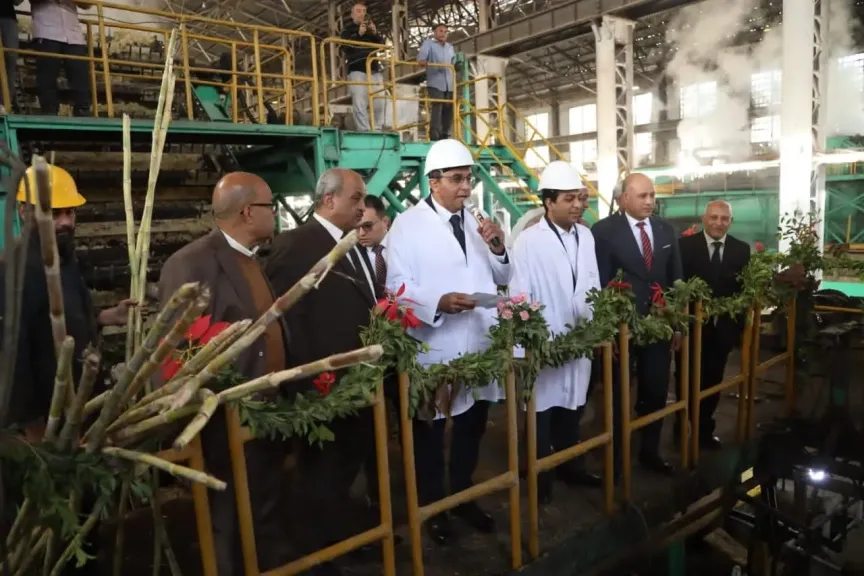 موسم عصير القصب يشعل حركة العمل بمصنع سكر قوص