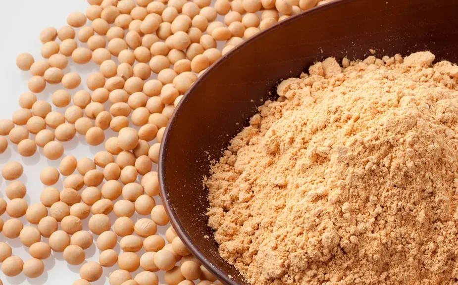 صادرات الهند من البروتين النباتي تتراجع بسبب اشتعال المنافسة