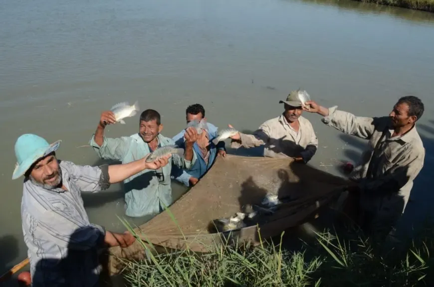 بحيرة المنزلة في خطر.. تحذير من تحويل أحواض التكريك إلى مزارع سمكية