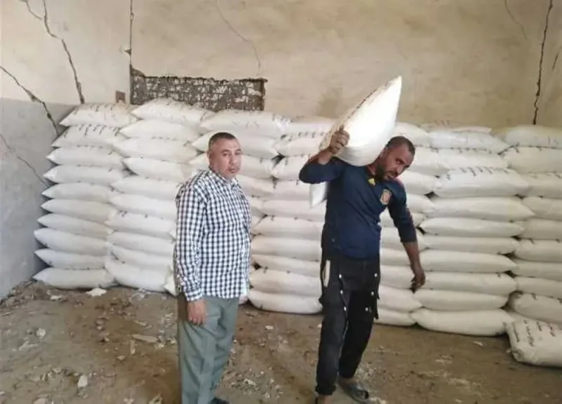 وكيل الزراعة بقنا: الأسمدة المدعمة تصل المزارعين بانتظام