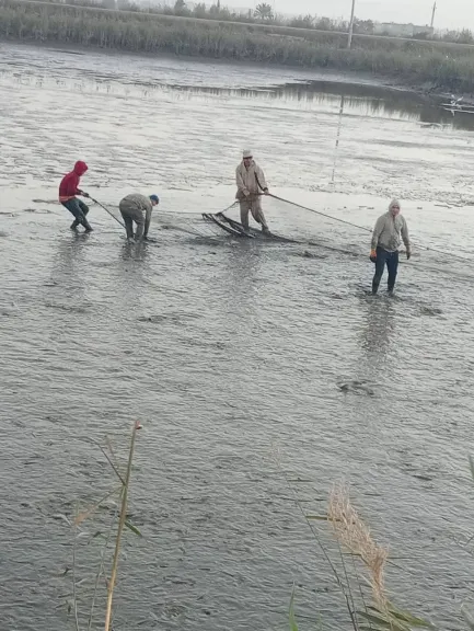 انطلاق موسم الصيد بمحطة تحضين الخاشعة السمكية