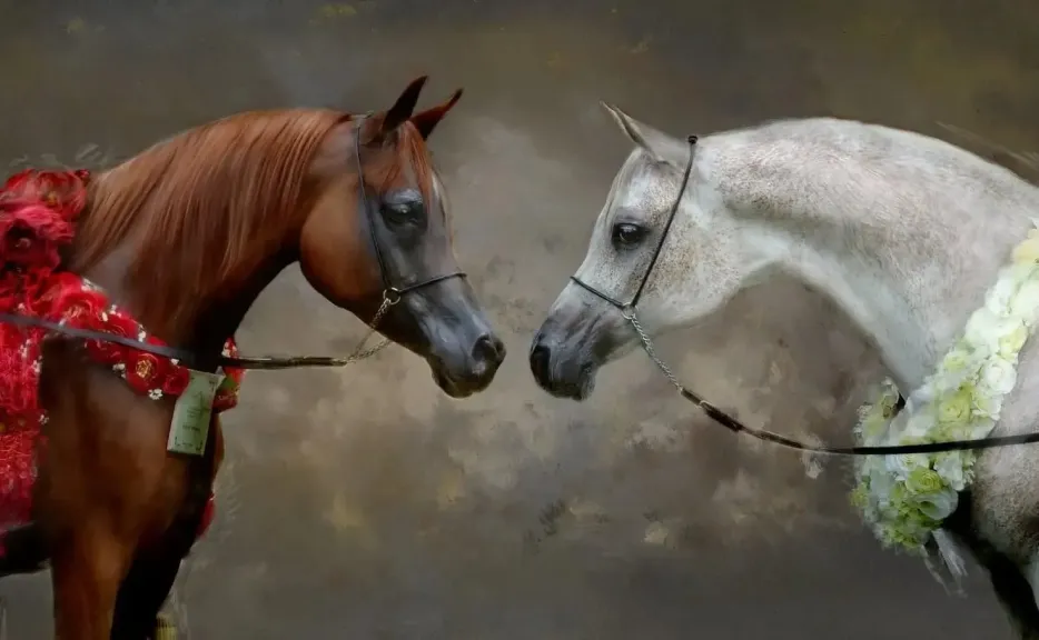 الزراعة تطلق تراخيص مزارع الخيول بنظام QR Code