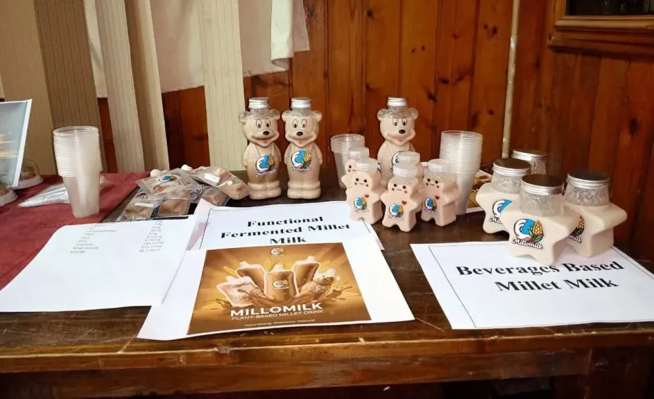 كيف تسهم نباتات الدخن في  صناعة الألبان ومواجهة تغير المناخ